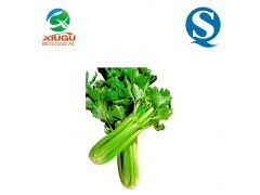 廠家直銷高品質(zhì)果蔬粉——芹菜粉，助力烘焙、膨化、固體飲料與飼料多元化應(yīng)用